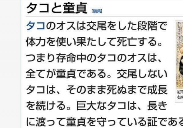 タコたこたこらー