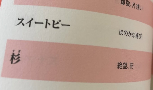 花粉