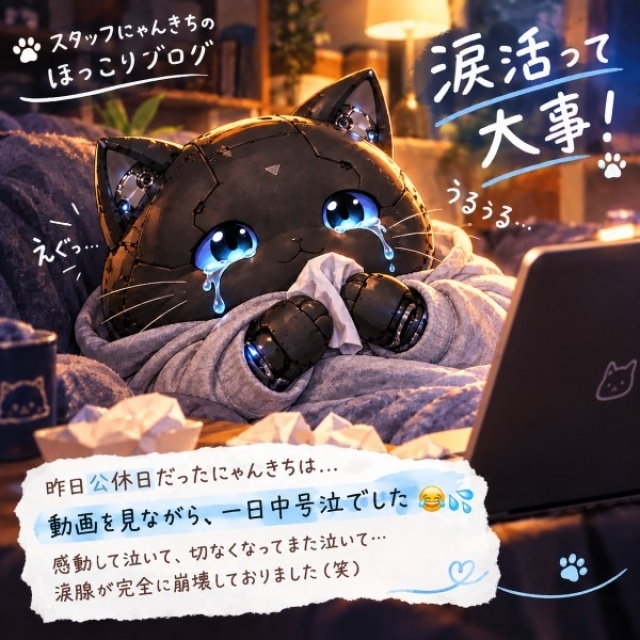 涙活って大事！昨日のにゃんきちは一日中号泣でした